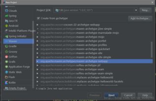 软件开发的广阔领域与多元路径