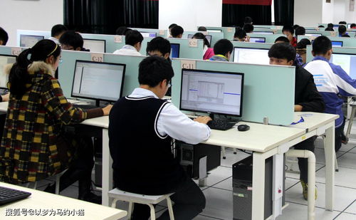 计算机技术开发 理科男生的黄金赛道，就业率高前景广阔