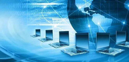 爱尔兰大学排名与热门专业 聚焦计算机技术开发